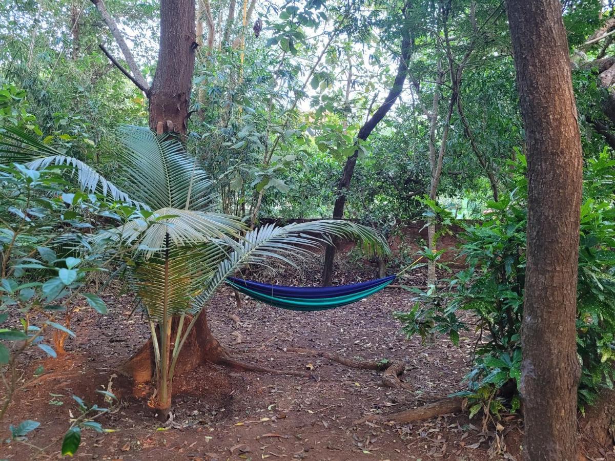Sunny'S Paradise Gokarna (Karnataka) Exterior foto